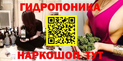 эйфоретик Усть-Джегута